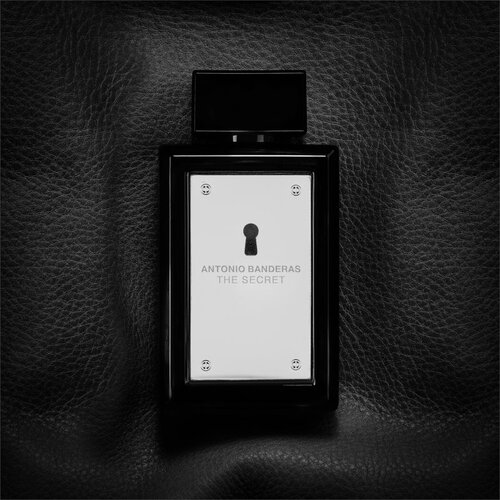 Antonio Banderas The Secret toaletna voda 200 ml za moške Cene