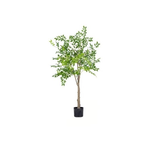 Dekordom drvo - money tree n60 -150cm( 025144 ) Cene