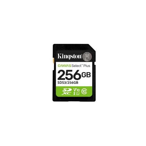 Kingston SDHC 256GB Class 10Canvas Select... Cijene