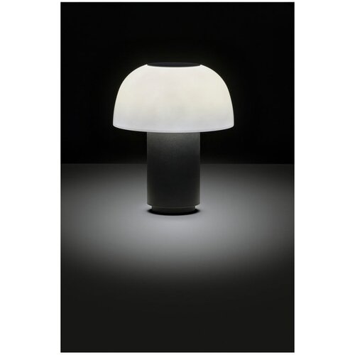 Zone Črna aluminijasta LED zatemnitvena namizna svetilka (vi&amp;scaron;ina 22 cm) Harvest &amp;ndash; Slike