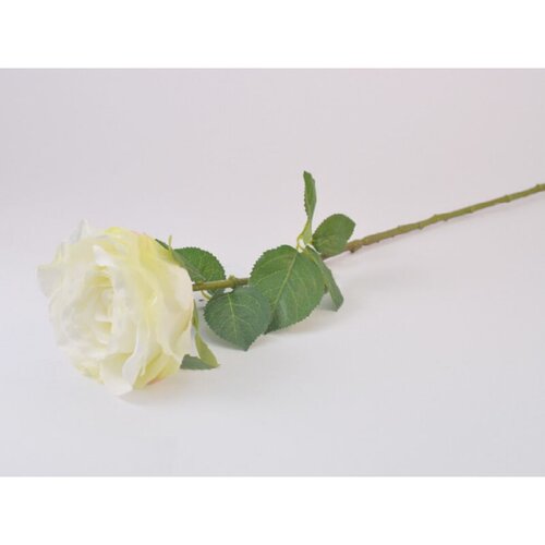  Umjetni cvijet Ruža (Visina: 66 cm, Bijela) Cijene