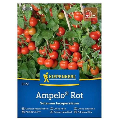 KIEPENKERL Zelenjavna semena Paradižnik Ampelo Red (Solanum lycopersicum, Čas žetve: Julij) Cene