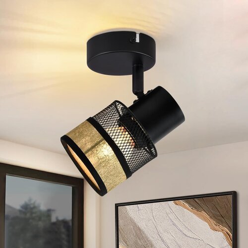 Nettlife Stropna svetilka 1 žarnica črna, za hodnik, kovinska, vintage zlata, E27 LED max 40W, nastavljiva 330&deg;, (22111141) Cene