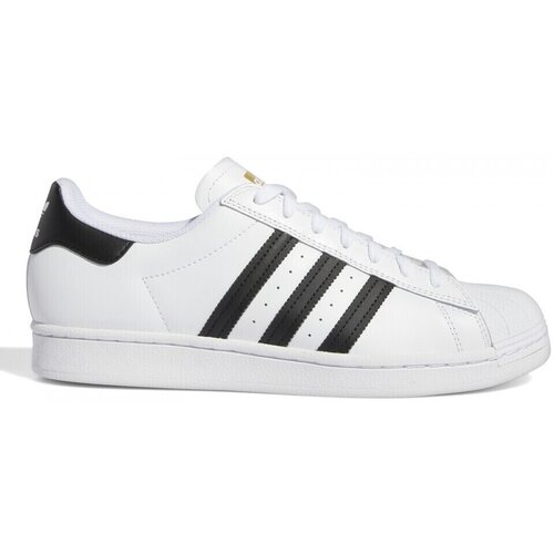 Adidas Modne superge Superstar adv Bela Slike