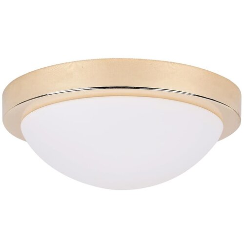 Candellux Lighting stropna svetilka v zlati barvi s steklenim senčnikom &amp;oslash; 28 cm roda &amp;ndash; candellux lighting Slike