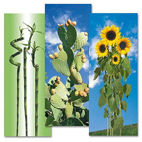 Gimi Navlaka za dasku za peglanje M 130x48 cm Cene