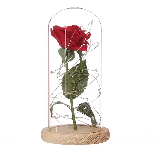  Rdeča vrtnica v stekleni kupoli z LED lučkami