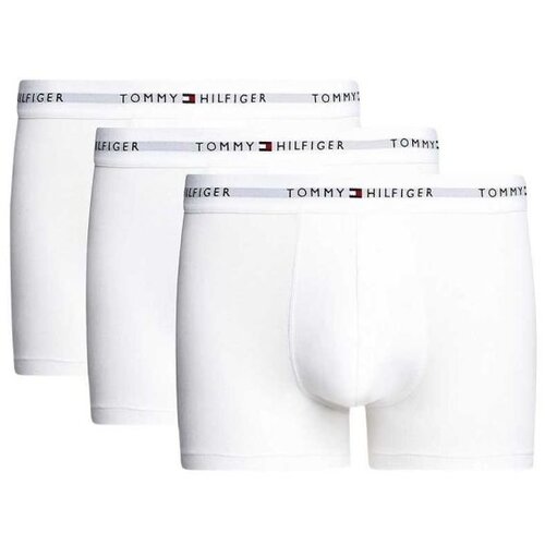 Tommy Hilfiger muške bokserice u setu THUM0UM02761-05E Cene