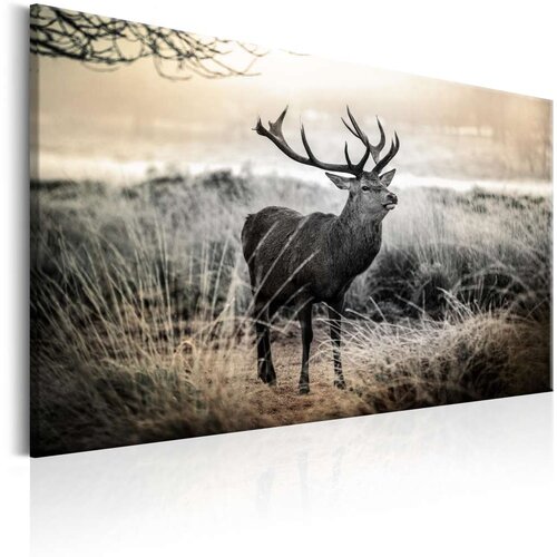  Slika - Dangerous Horns 120x80 Cijene