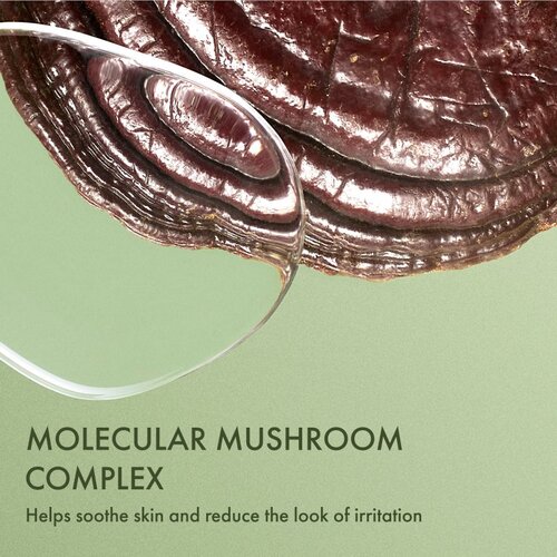 Origins Dr. Andrew Weil for &amp;trade; Mega-Mushroom Fortifying Emulsion with Reishi and Seabuckthorn umirujuća i hidratantna emulzija 100 ml Slike