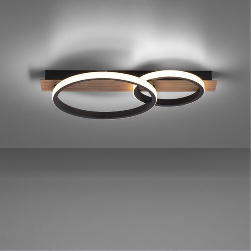 PAUL NEUHAUS Leuchten Direkt 15615-78 - LED plafonska svetiljka TROOPER LED/28W/230V Slike