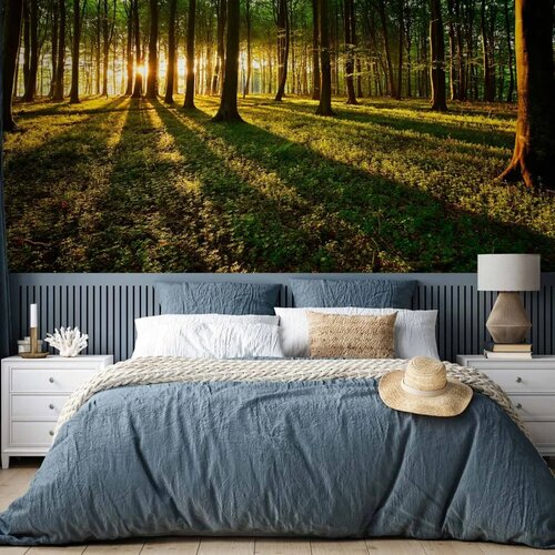  Foto tapeta - Mystical Morning 400x280 Premium Slike