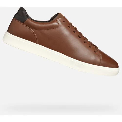 Geox Light brown men's sneakers Avola - Men's