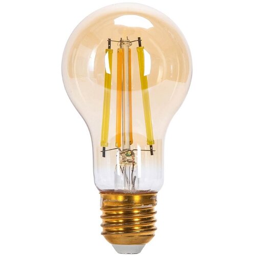 Aigostar led sijalica filament A60 E27/6W/230V 2700-6500K Cene