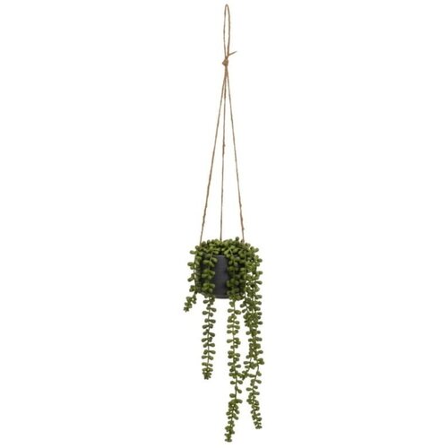 Casa Selección Umetna rastlina (višina 37 cm) Senecio – Cene