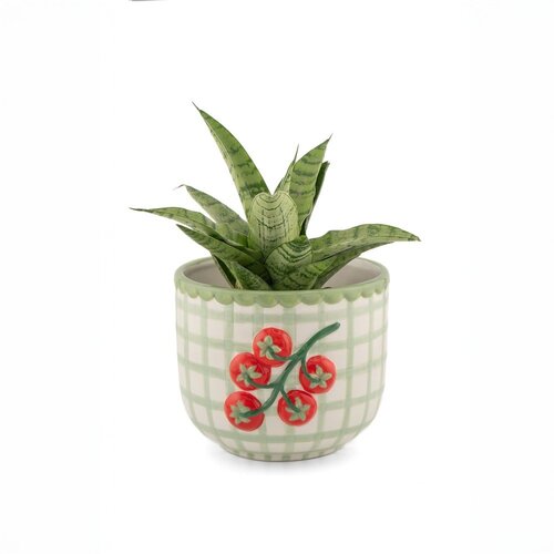Sass &amp;amp; Belle Porcelanast ročno poslikan okrasni cvetlični lonec &amp;oslash; 12 cm Tomato &amp;ndash; Slike