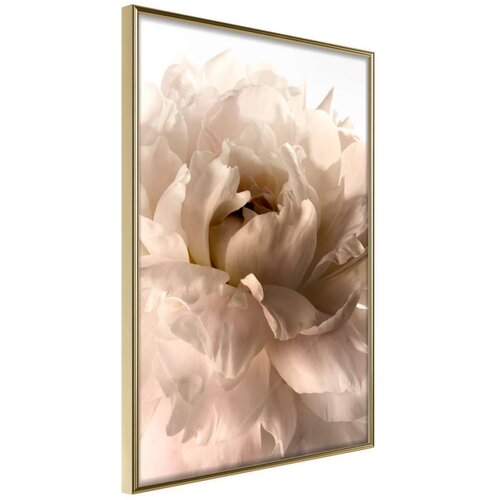  Poster - Bloom 30x45 Slike