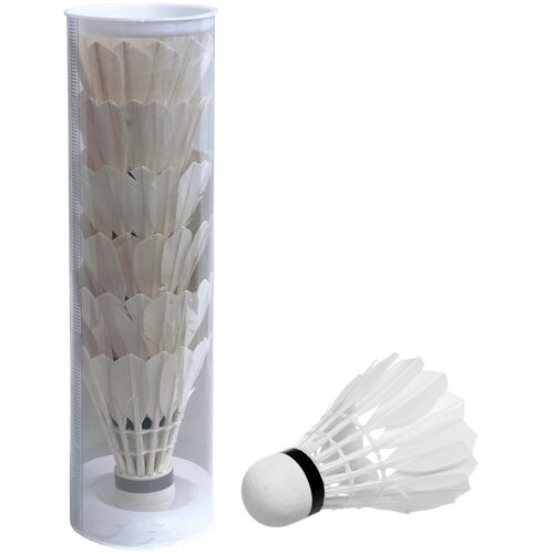 Eurom Denis DENIS Loptice za badminton 6/1 bele Slike