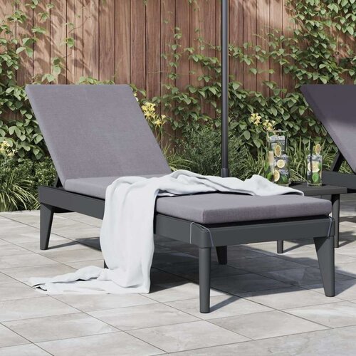 vidaXL Ležalnik antraciten 186x60x29 cm PP Cene