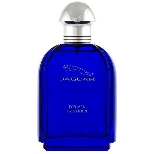 Jaguar For Men Evolution Eau De Toilette 100 ml Slike