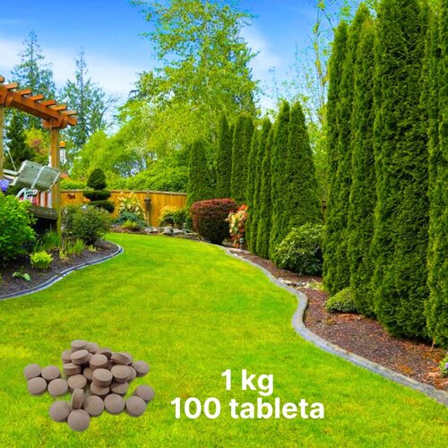  Tablete za Prihranu Četinara - 1kg Slike