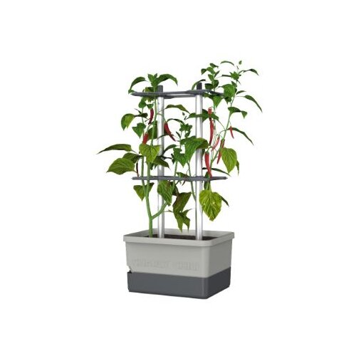 Gusta Garden Hidroponski Lonec za Hitro Gojenje Paprik in Feferonov (siv) | CHARLY CHILI, (21562711) Slike
