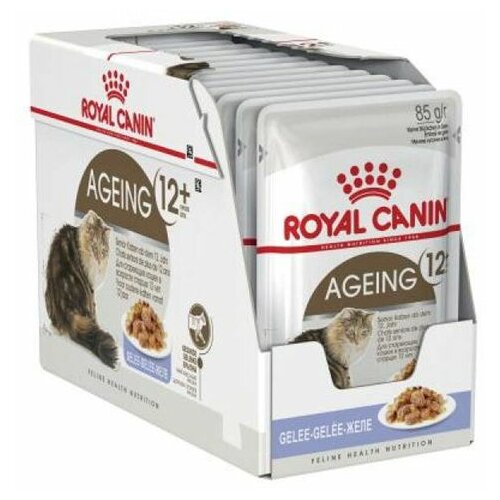 Royal Canin hrana u kesici za mačke Ageing +12 - žele 12x85g Slike