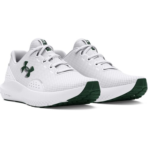 Under Armour Women&amp;#039;s shoes W Charged Surge 4 Slike