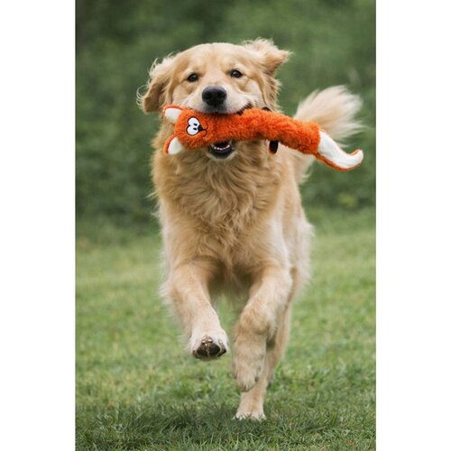 Paws & Whiskers Havhav 1040 OrangeWhite Dog Toy Cene