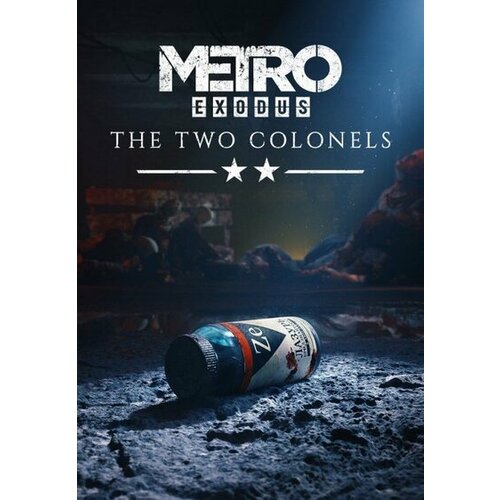 Steam Metro Exodus: The Two Colonels (DLC) Key EUROPE Cene