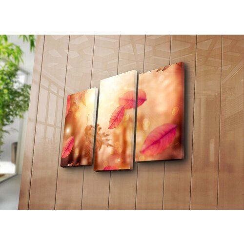 Wallity slika 3PATK-10, 45 x 66 cm, 3 dela Slike