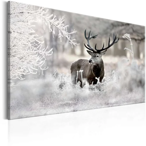  Slika - Lonely Deer 90x60