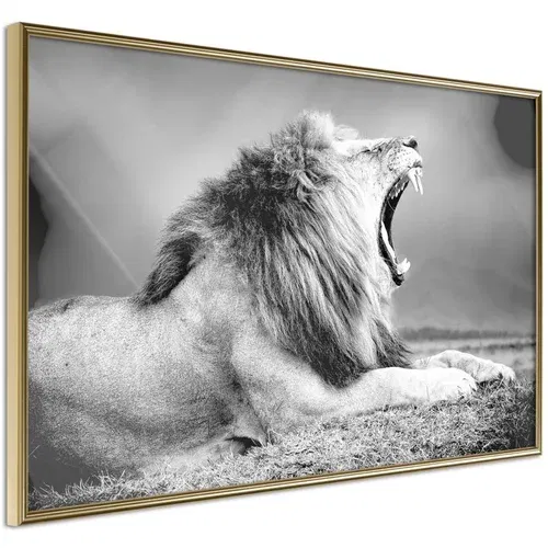  Poster - Yawning Lion 30x20