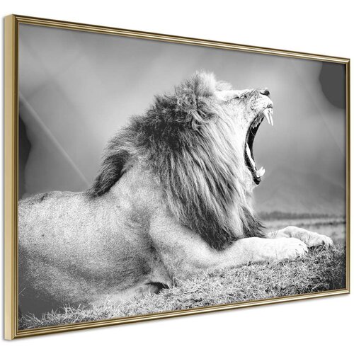  Poster - Yawning Lion 30x20 Slike