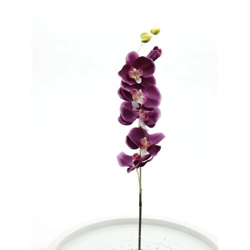 Di.Mo veštački cvet orhideja 81cm, bordo Slike