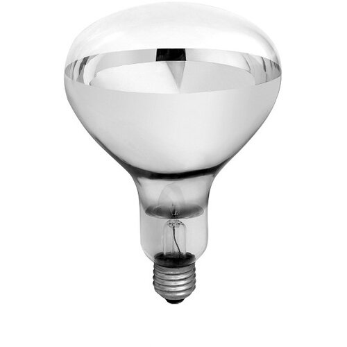 Microcer Sijalica temperaturna 100W (kvočka) Cene