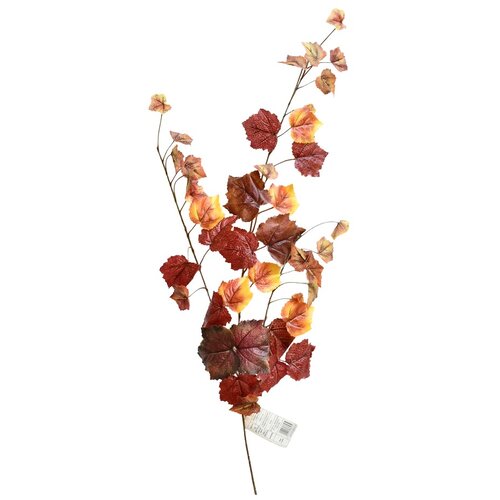  Rezano cvijeće grana vinova loza 80 cm Slike