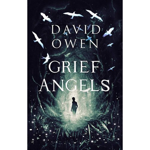 Little, Brown Book Group David Owen - Grief Angels Cene