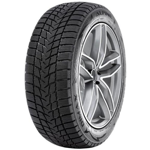 Radar 205/55R17 95V XL M+S DIMAX ALPINE Slike