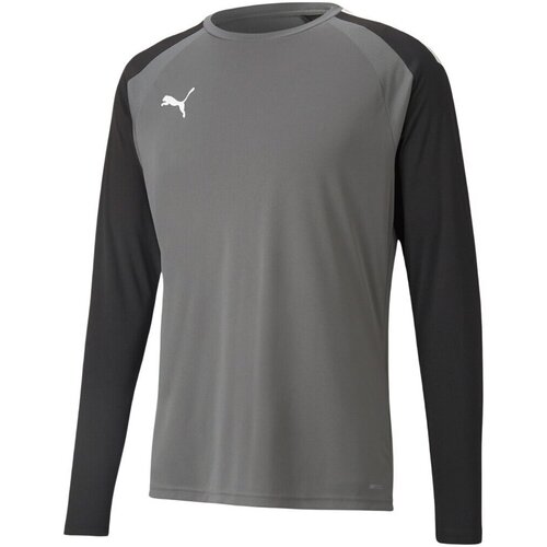 Puma Teampacer Siva Cene