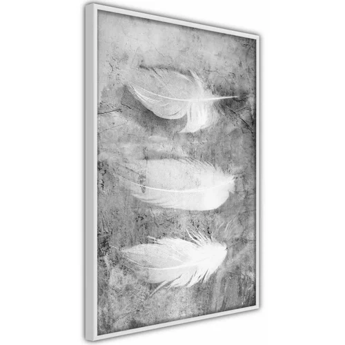  Poster - Delicate Feathers 30x45