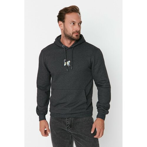 Trendyol Anthracite Men's Basic Regular Fit Hooded Sweatshirt with Embroidery Sweatshirt Cene