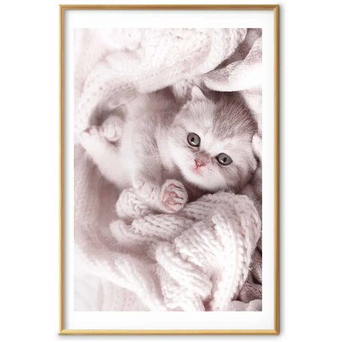  Plakat - Lover of Rest 60x90 Zlatni okvir s margom Cene