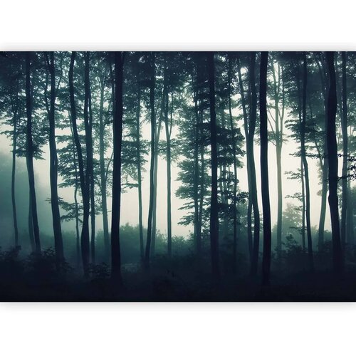  Foto tapeta - Dark Forest 147x105 Samoljepljiva Slike