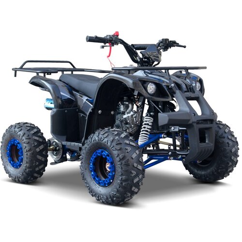 Quad na bencin WILDPEAK 110cc - modra Cene