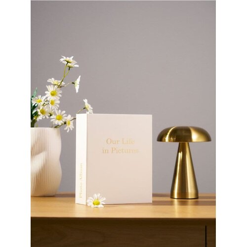 Sinsay Foto album sa zlatnim natpisom "Our Life in Pictures" Cijene