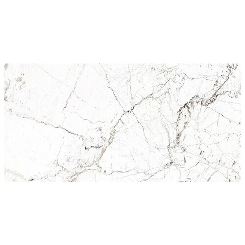  Porculanska pločica Windsor Burgundy (60 x 120 cm, Bijela, Mat) Cijene