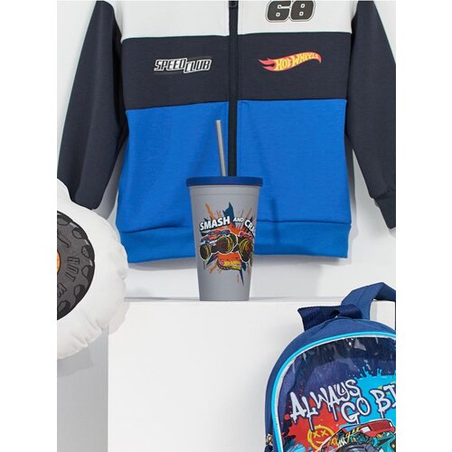 Sinsay Šalica Hot Wheels Cijene