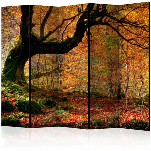  Paravan u 5 dijelova - Autumn forest and leaves II [Room Dividers] 225x172