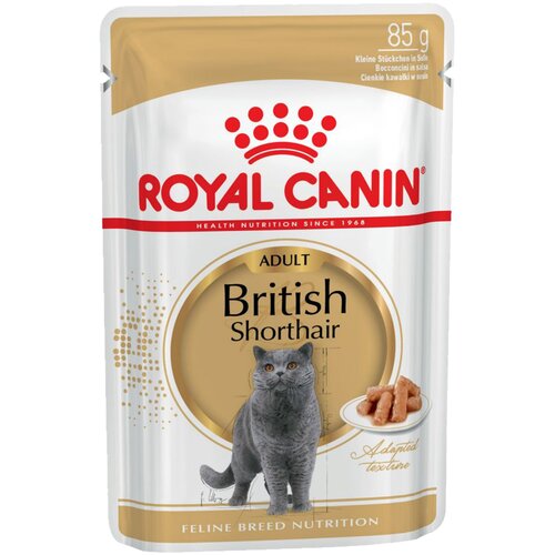 Royal Canin Breed British Shorthair Adult v omaki - mokra hrana - Varčno pakiranje: 48 x 85 g Cene